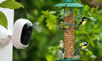 The Best Bird Feeder Cameras for Clear Images and Easy Monitoring: What Every Bird Watcher Should Know