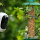 The Best Bird Feeder Cameras for Clear Images and Easy Monitoring: What Every Bird Watcher Should Know